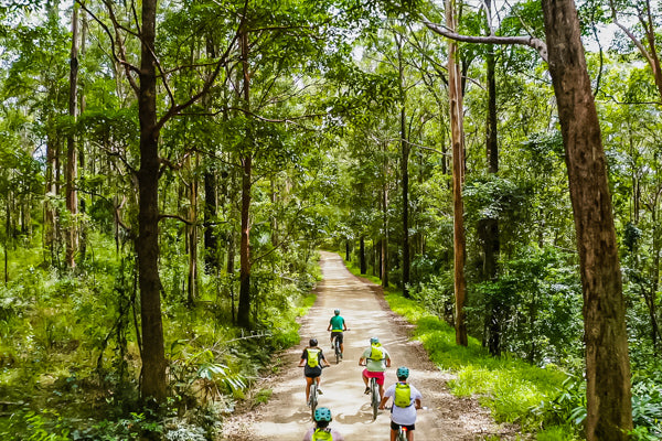 E Bike hire on the Northern Rivers Rail Trail and Ebike tours including the rail trail ebike tour on FOCUS Ebikes to Unicorn falls and national park manns road drone shot from rear 