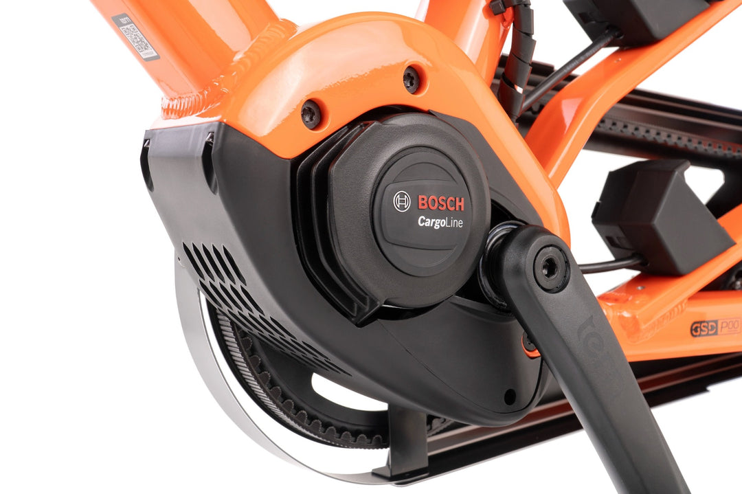 TERN GSD P00 Gen 3 - Belt Drive - 545Wh - $500 free accessories