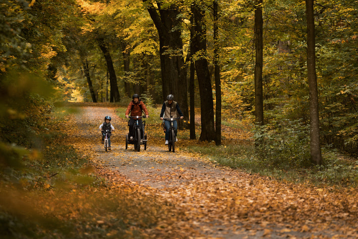 FOCUS AVENTURA² 6.8 - WAVE - BOSCH gen5 (100Nm) 2026