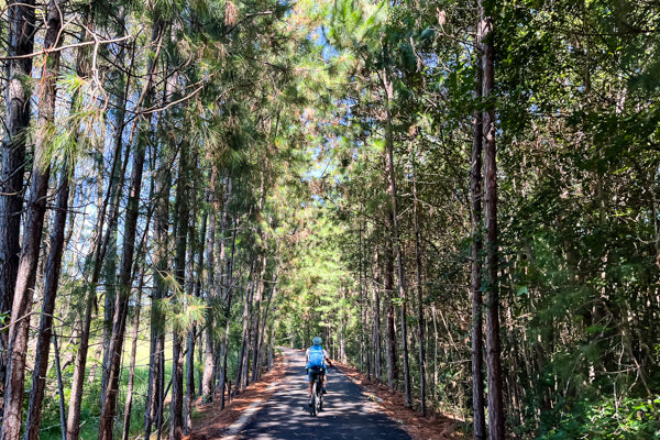 E Bike Hire opposite the Rail Trail, Self Guided Rides, E Bike Sales ...