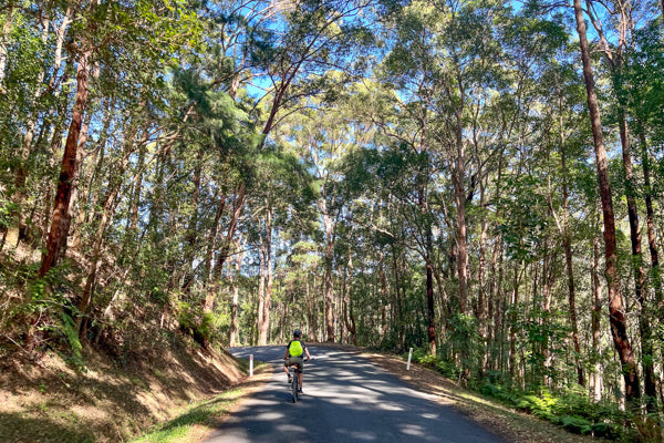E Bike Hire opposite the Rail Trail, Self Guided Rides, E Bike Sales ...