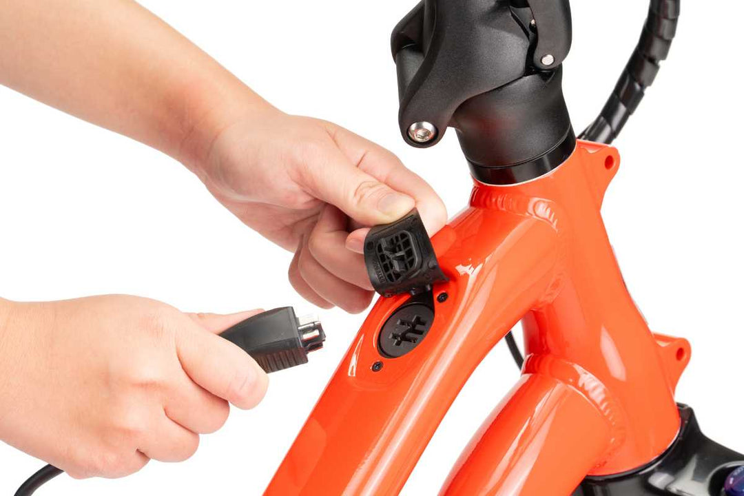 TERN HSD P5i - Cargo E Bike