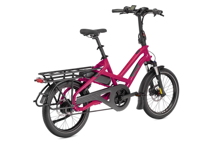 TERN HSD P5i - Cargo E Bike